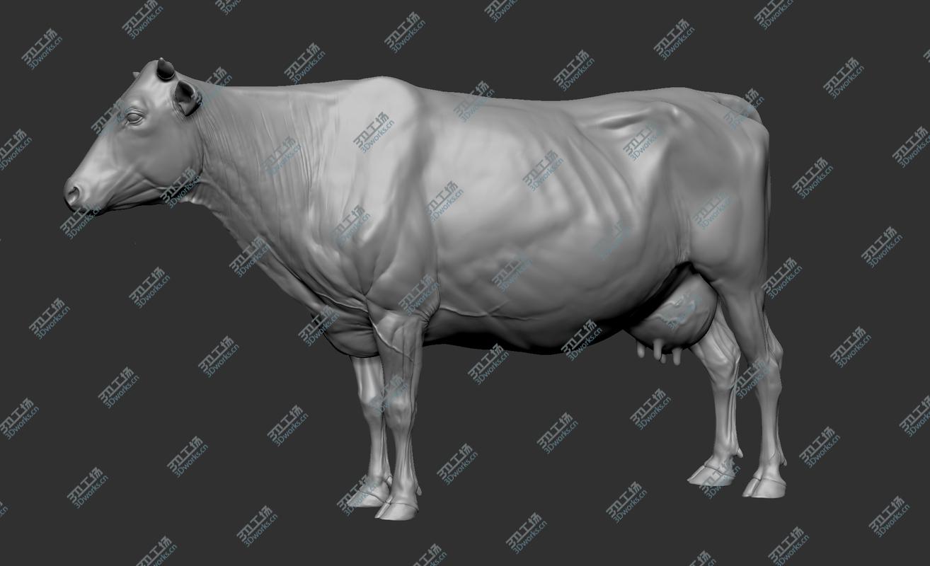 images/goods_img/2021040232/3D Cow Realistic/4.jpg